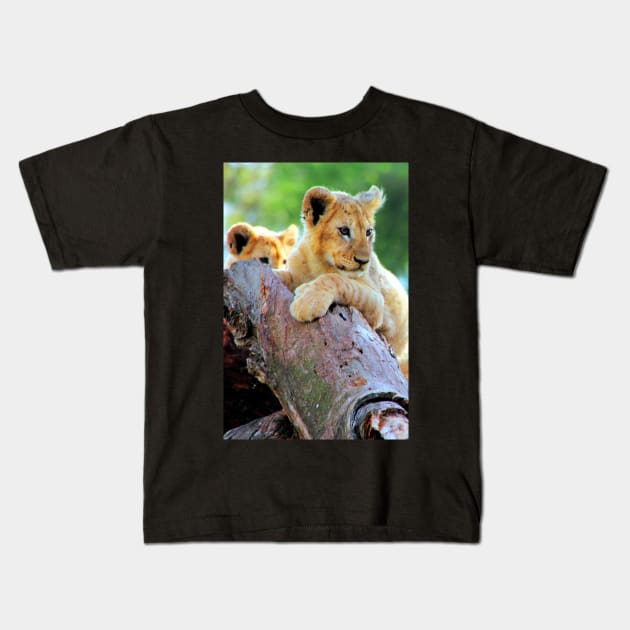 Lion Cubs at Play Kids T-Shirt by Carole-Anne